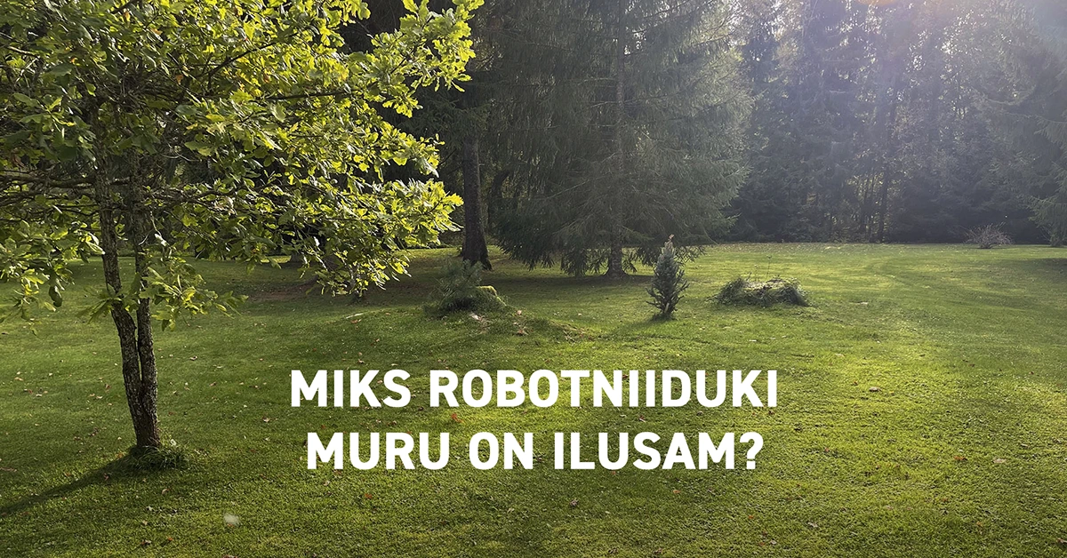 Miks robotniiduki muru on ilusam? Juttu lõiketeradest